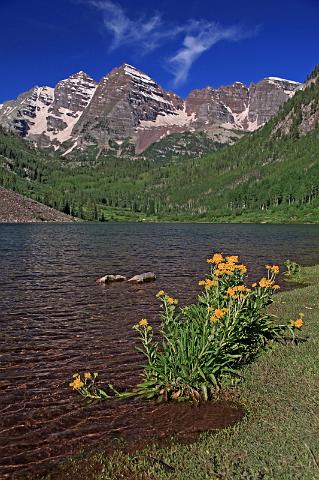 157 aspen, maroon bells.JPG